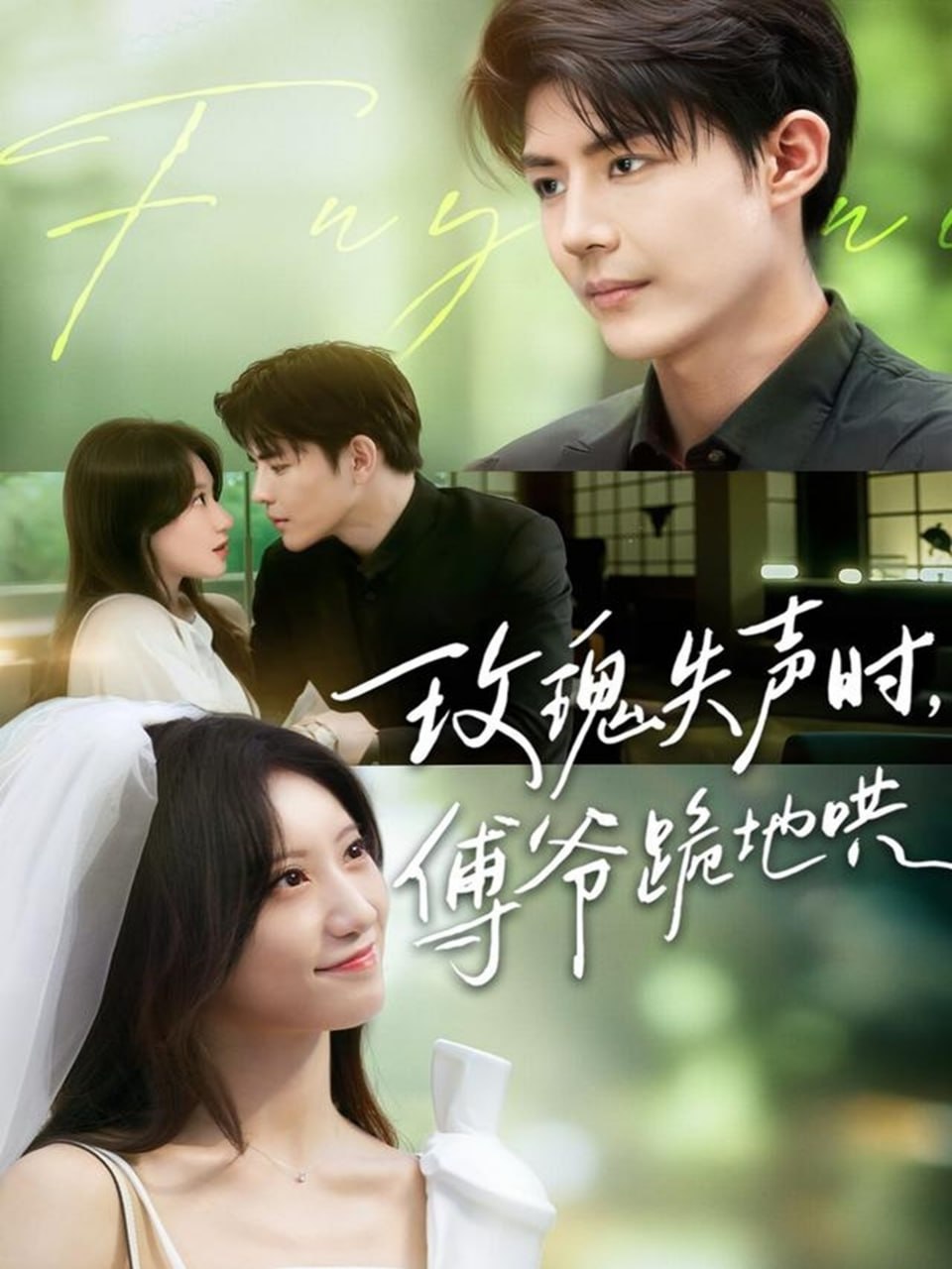 玫瑰失声时傅爷跪地哄