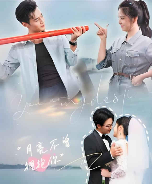 月亮不曾拥抱你