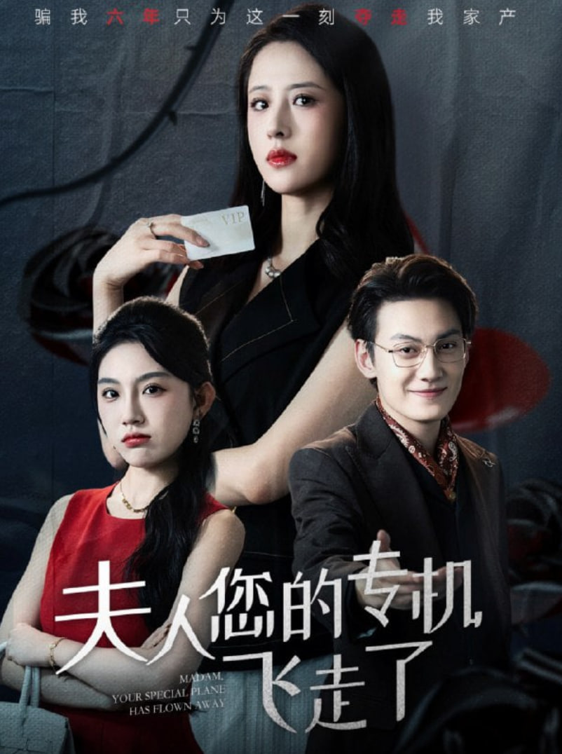 夫人您的专机飞走了