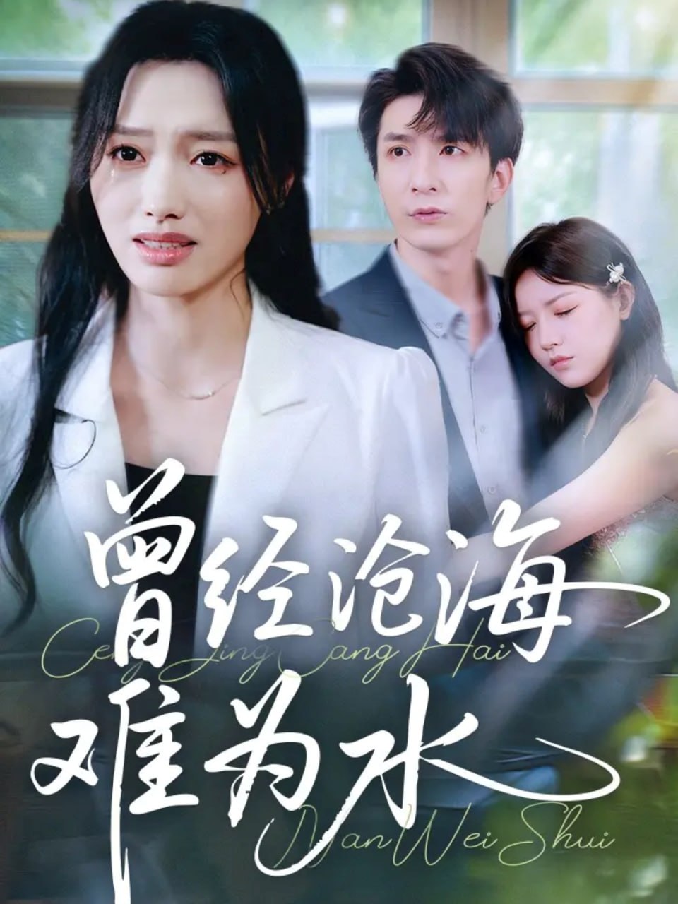 曾经沧海难为水 2025