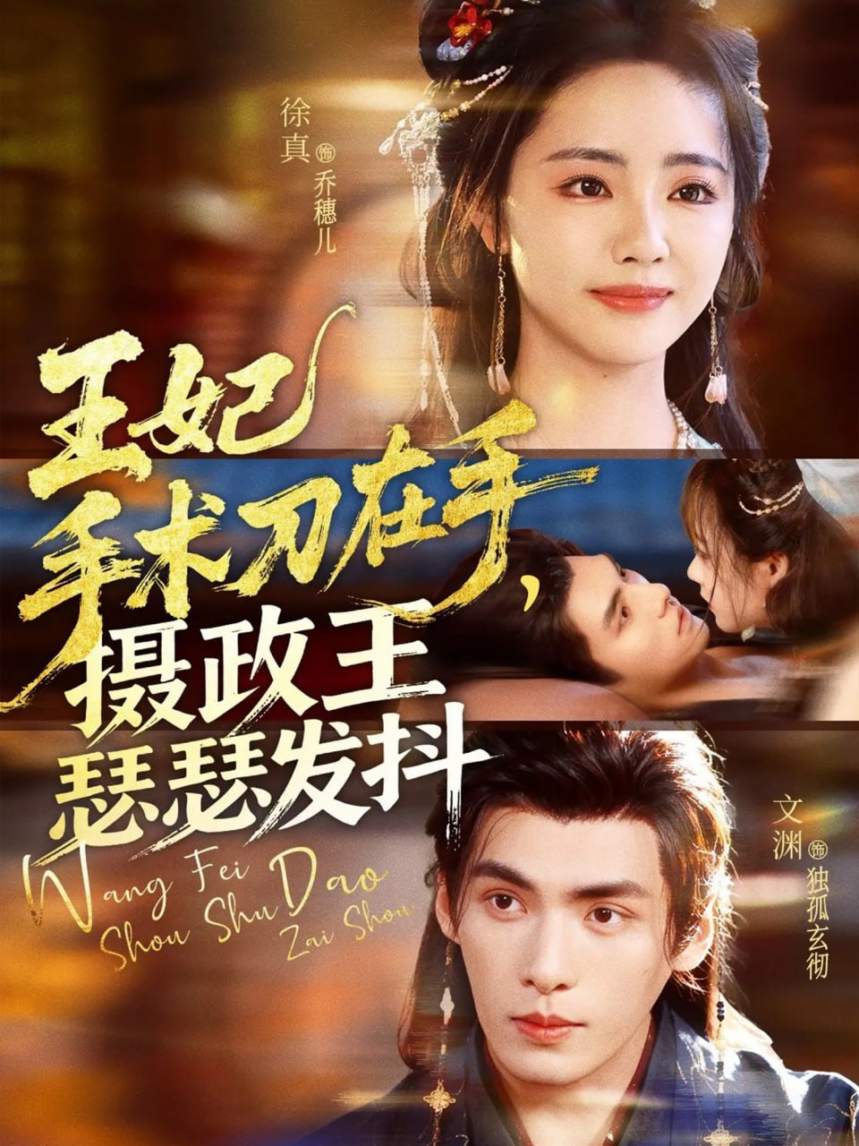 王妃手术刀在手摄政王瑟瑟发抖